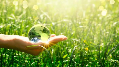 Image of an energy label showing a glass orb in front of a green meadow.