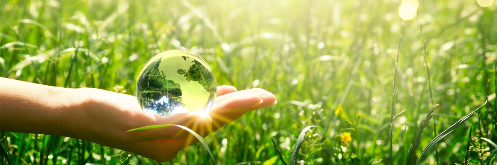 Image of an energy label showing a glass orb in front of a green meadow.